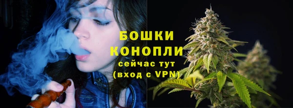 МДПВ Осташков