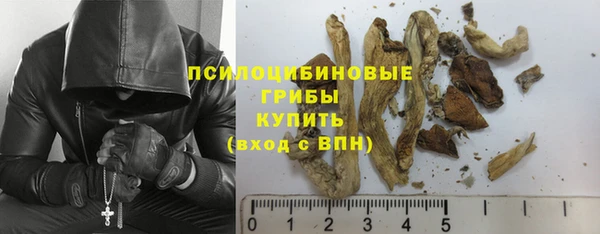 марки lsd Абаза