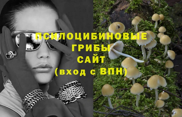 МДПВ Осташков